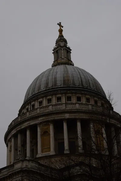 DSC_5858 (Large).JPG